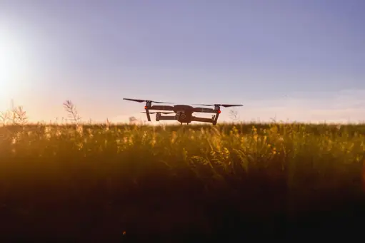 drone flying over grasses